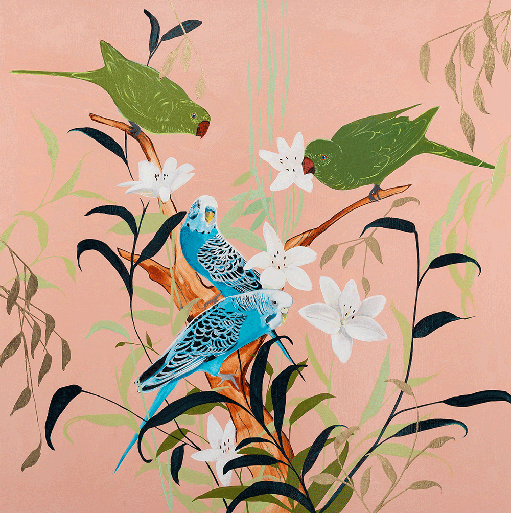 Parakeets on Pink 36 x 36