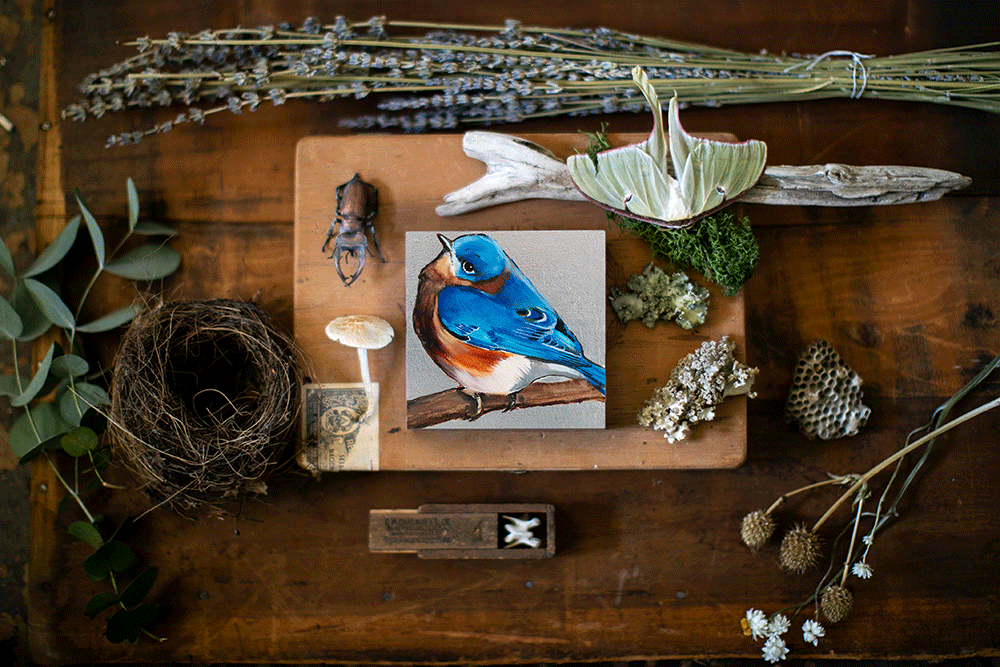 Fat Blue Bird – Joseph Bradley Fat Blue Bird – Joseph Bradley