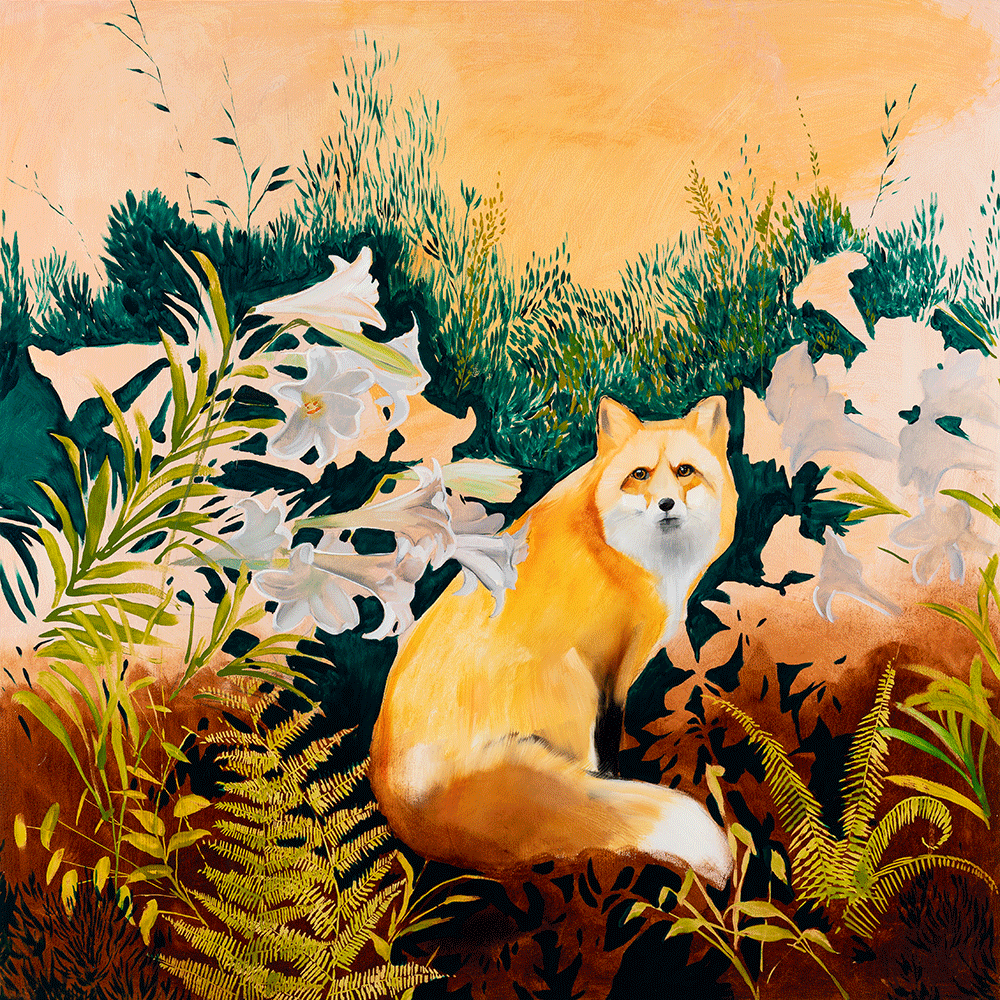 Fox & Lilies — 48 x 48 original oil painting on wood panel with gold-leafed edge by Joseph Bradley, featuring a red fox in a garden of white lilies