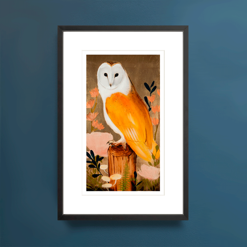 Barn Owl