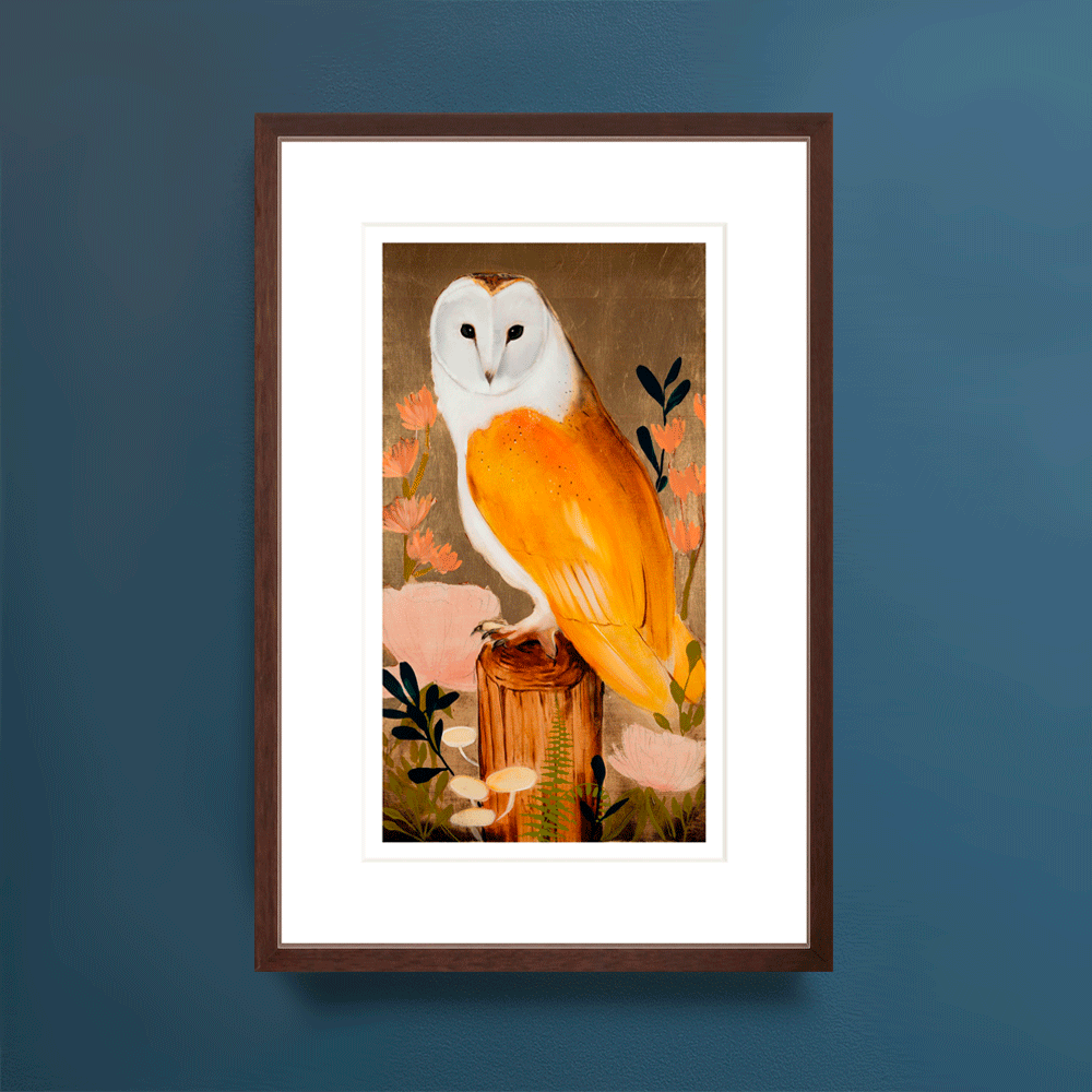 Barn Owl