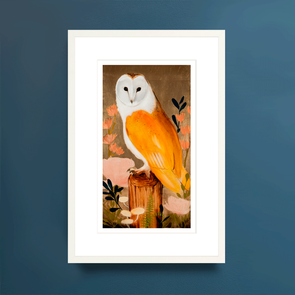 Barn Owl