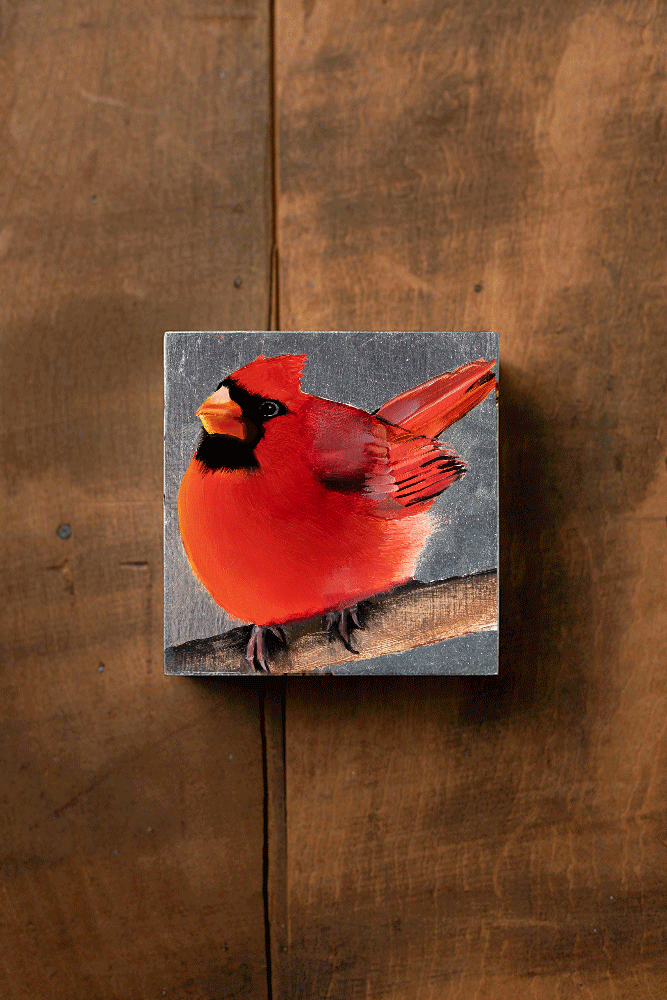 Christmas Cardinal 2024