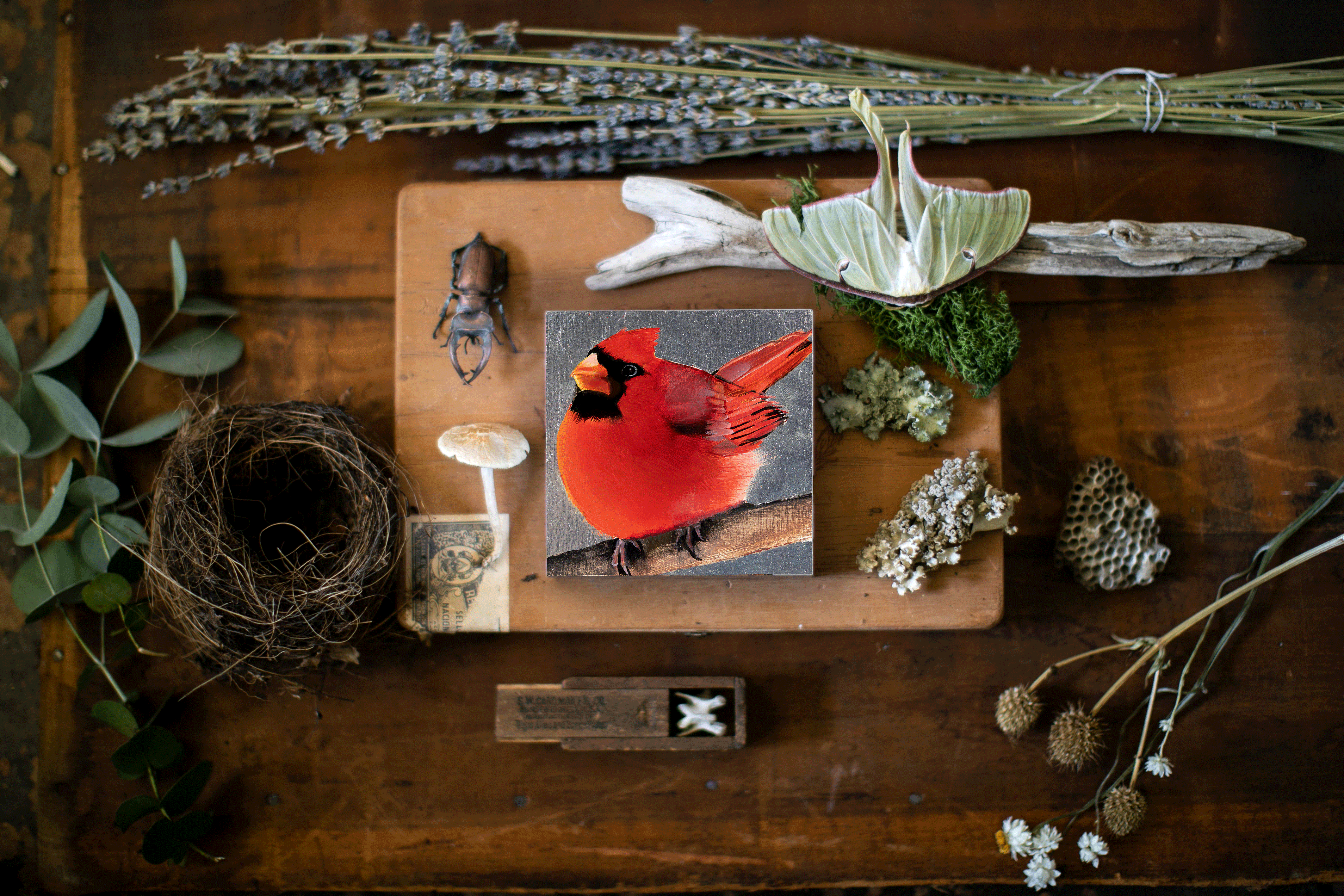 Christmas Cardinal 2024