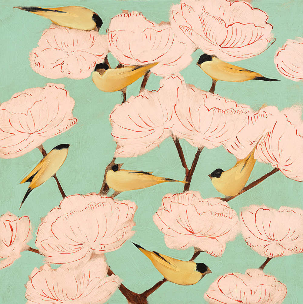 Blossoms & Finches 24 x 24