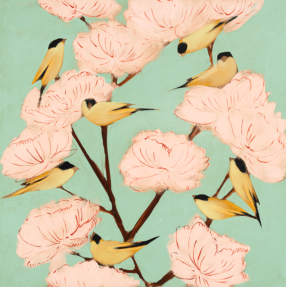 Blossoms & Finches 24 x 24