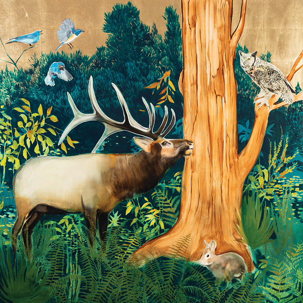 Deep Woods - Elk & Owl