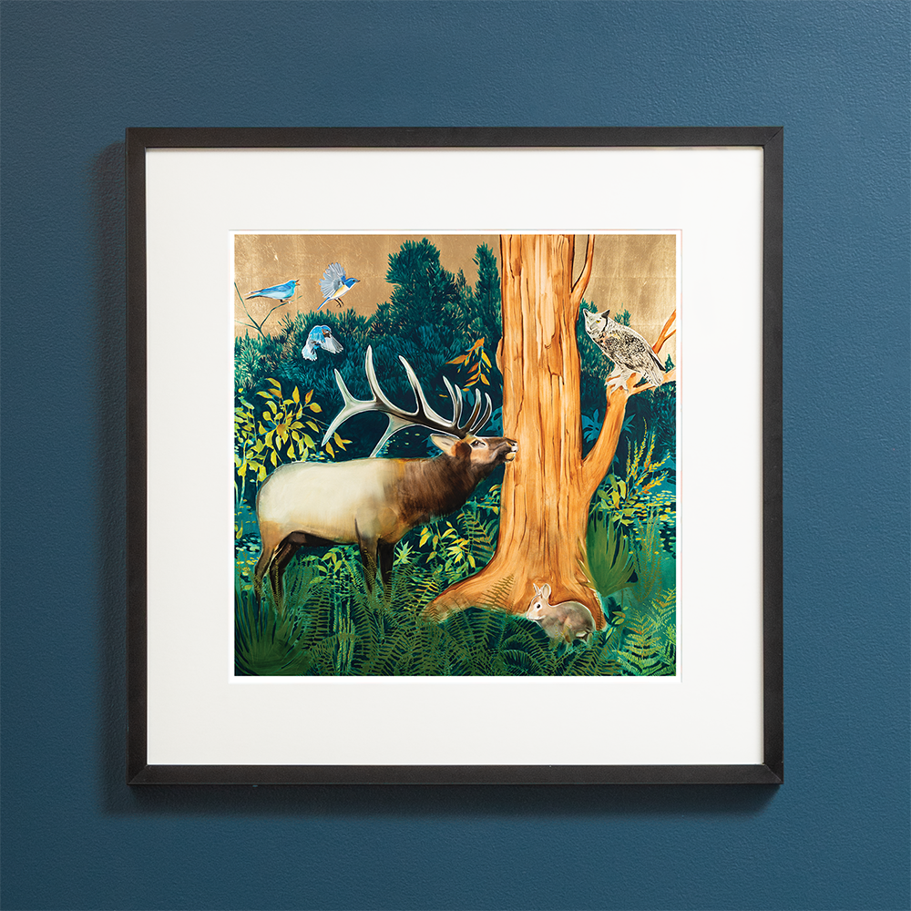 Deep Woods - Elk & Owl