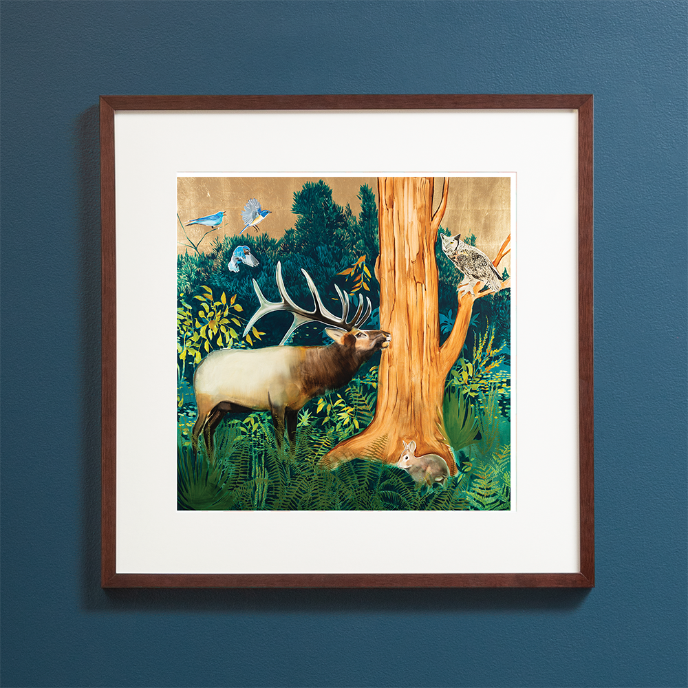 Deep Woods - Elk & Owl