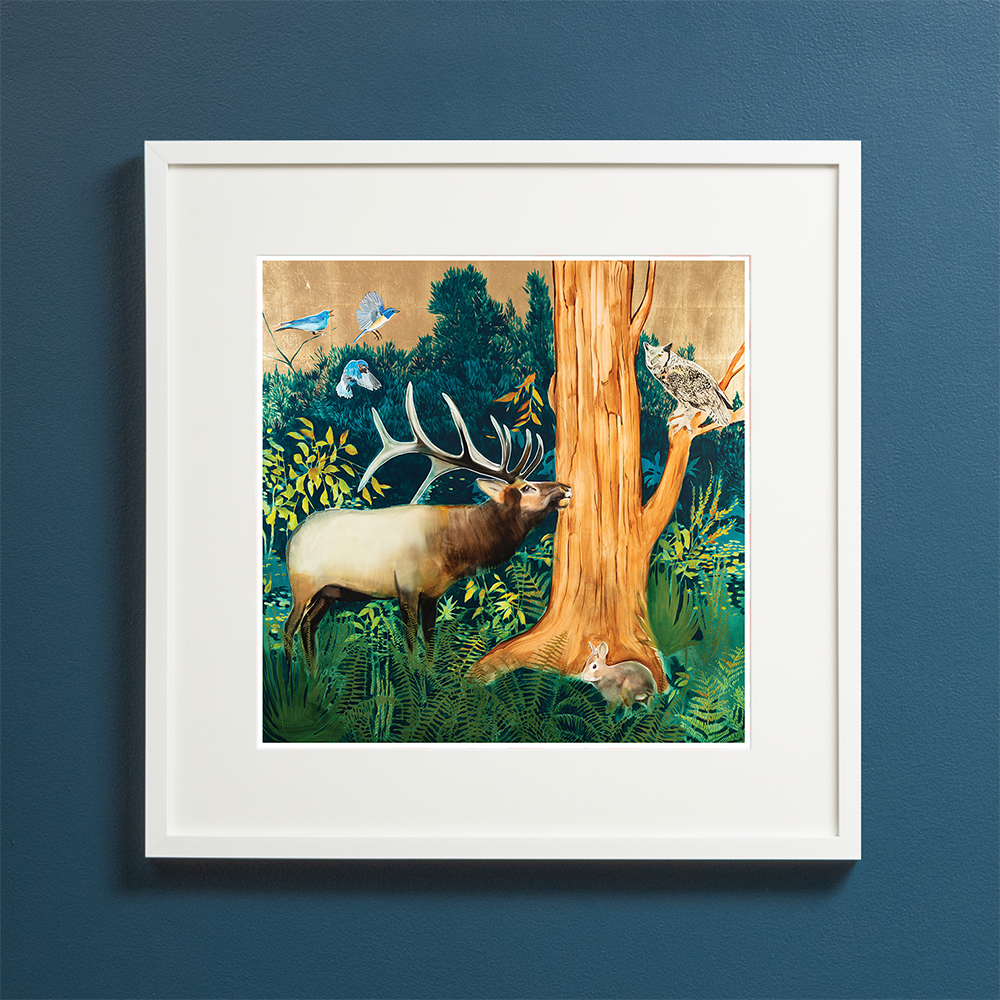 Deep Woods - Elk & Owl