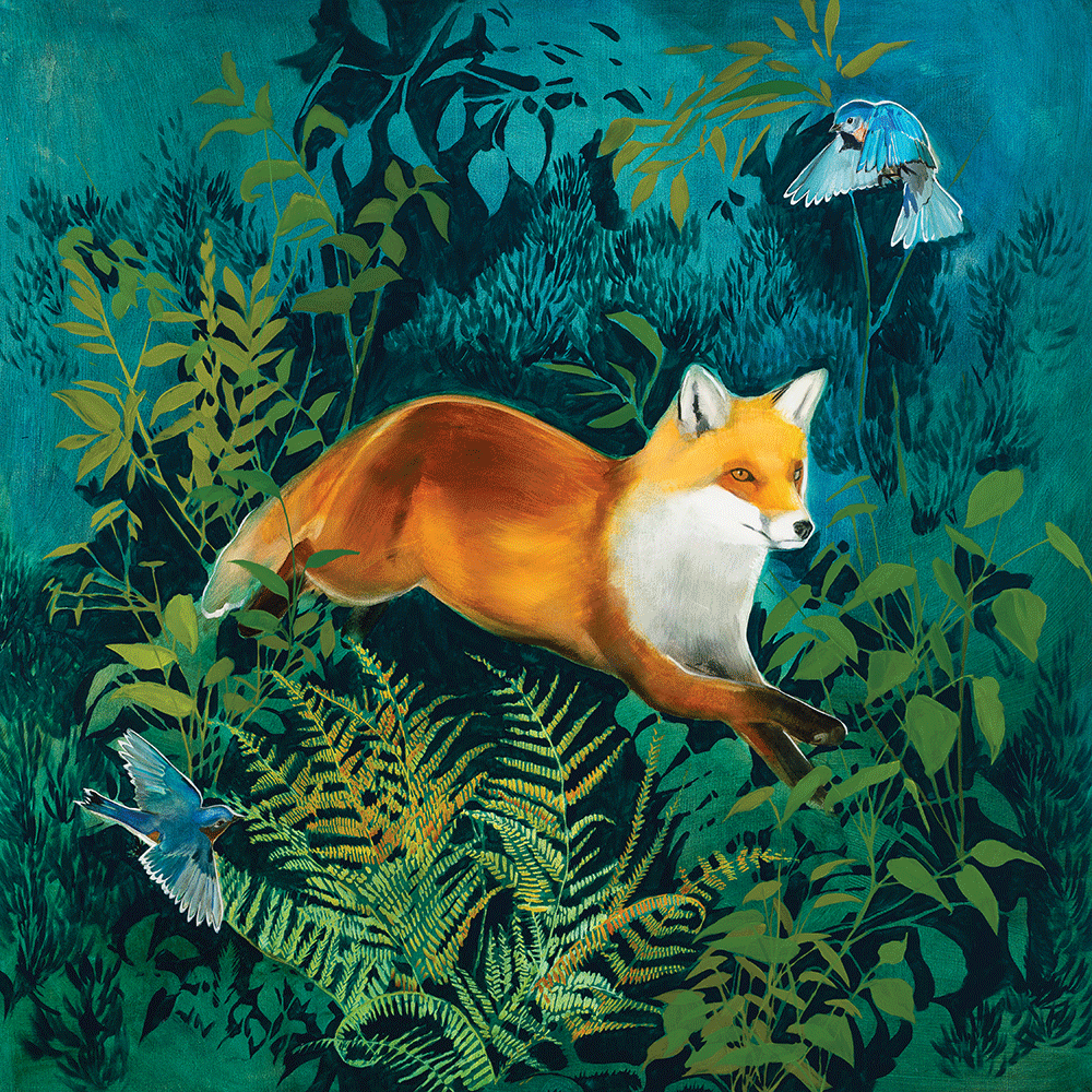 Deep Woods - Fox
