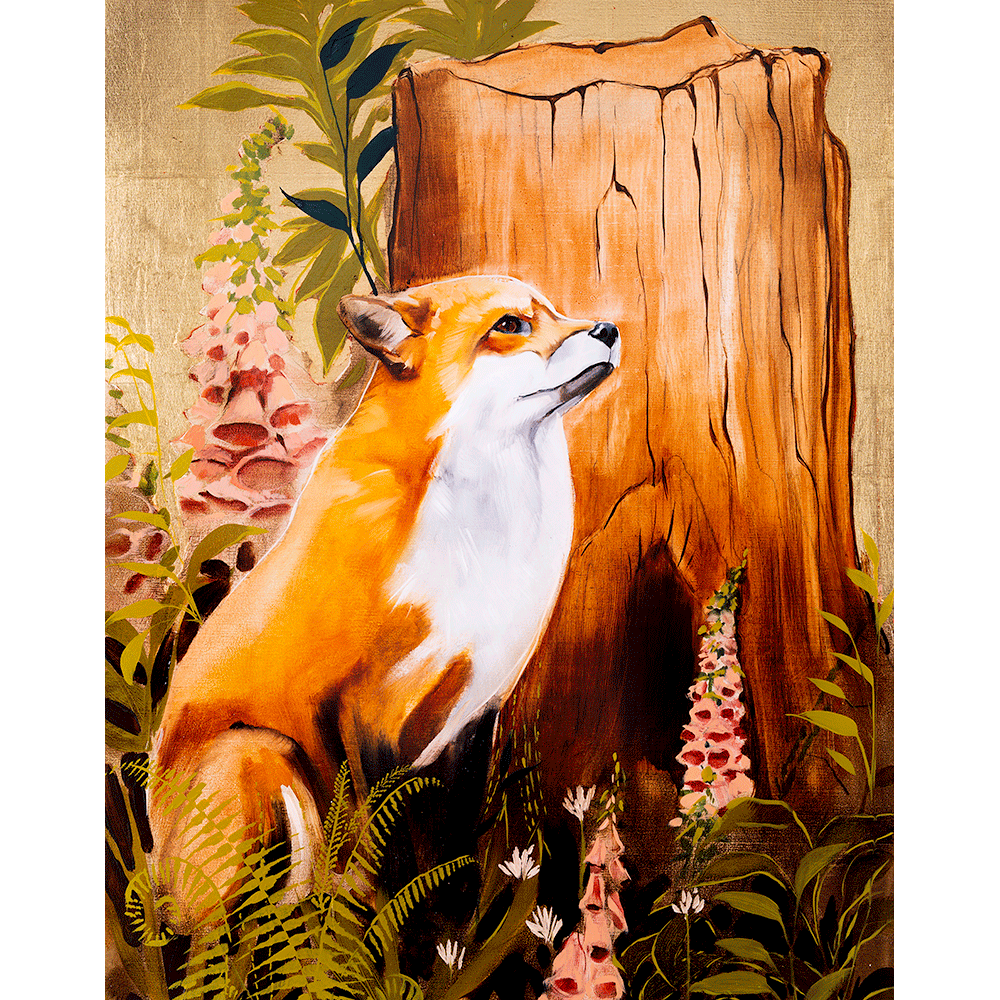 Fox & Foxgloves
