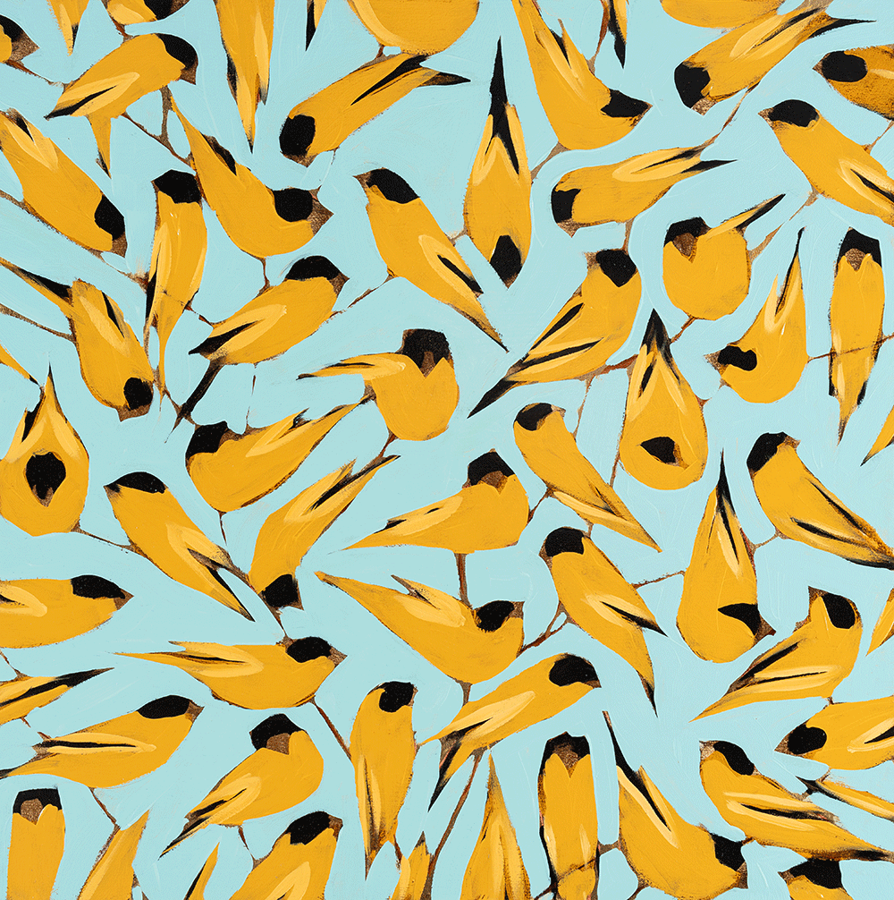 Goldfinches 24 x 24