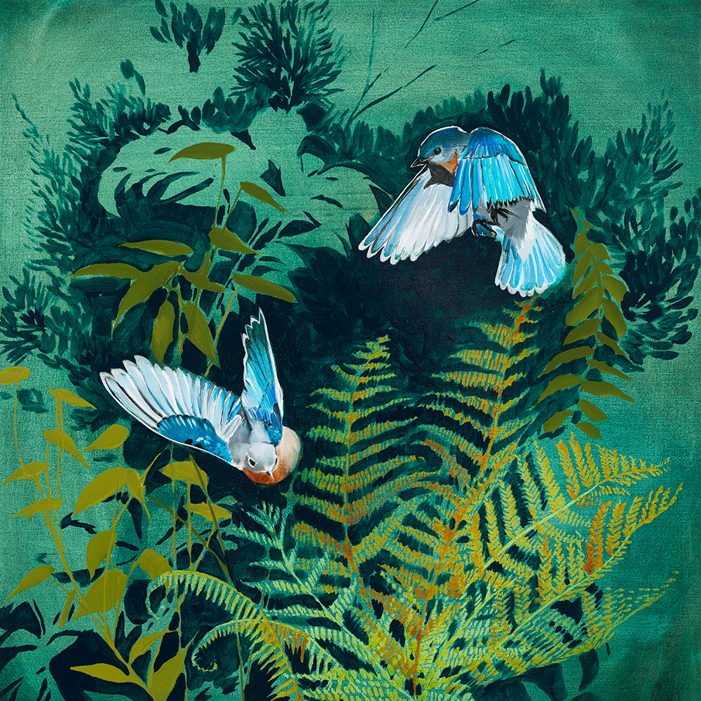 Deep Woods - Wings 24 x 24