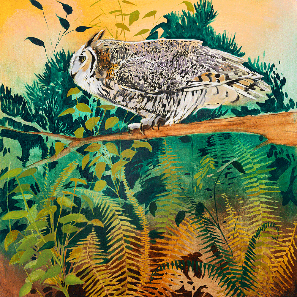 Deep Woods - Great Horned Owl 24 x 24