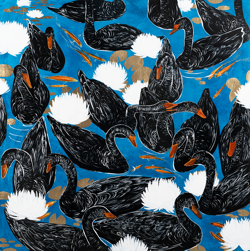 Black Swans 48 x 48