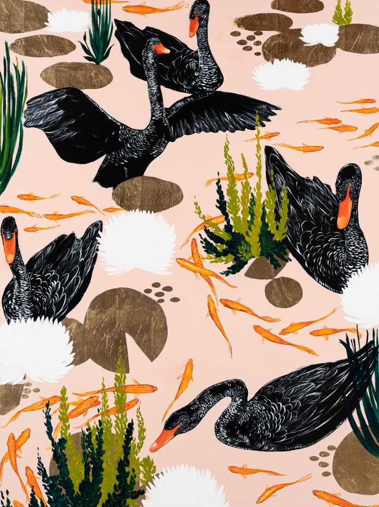 Blushing Black Swans