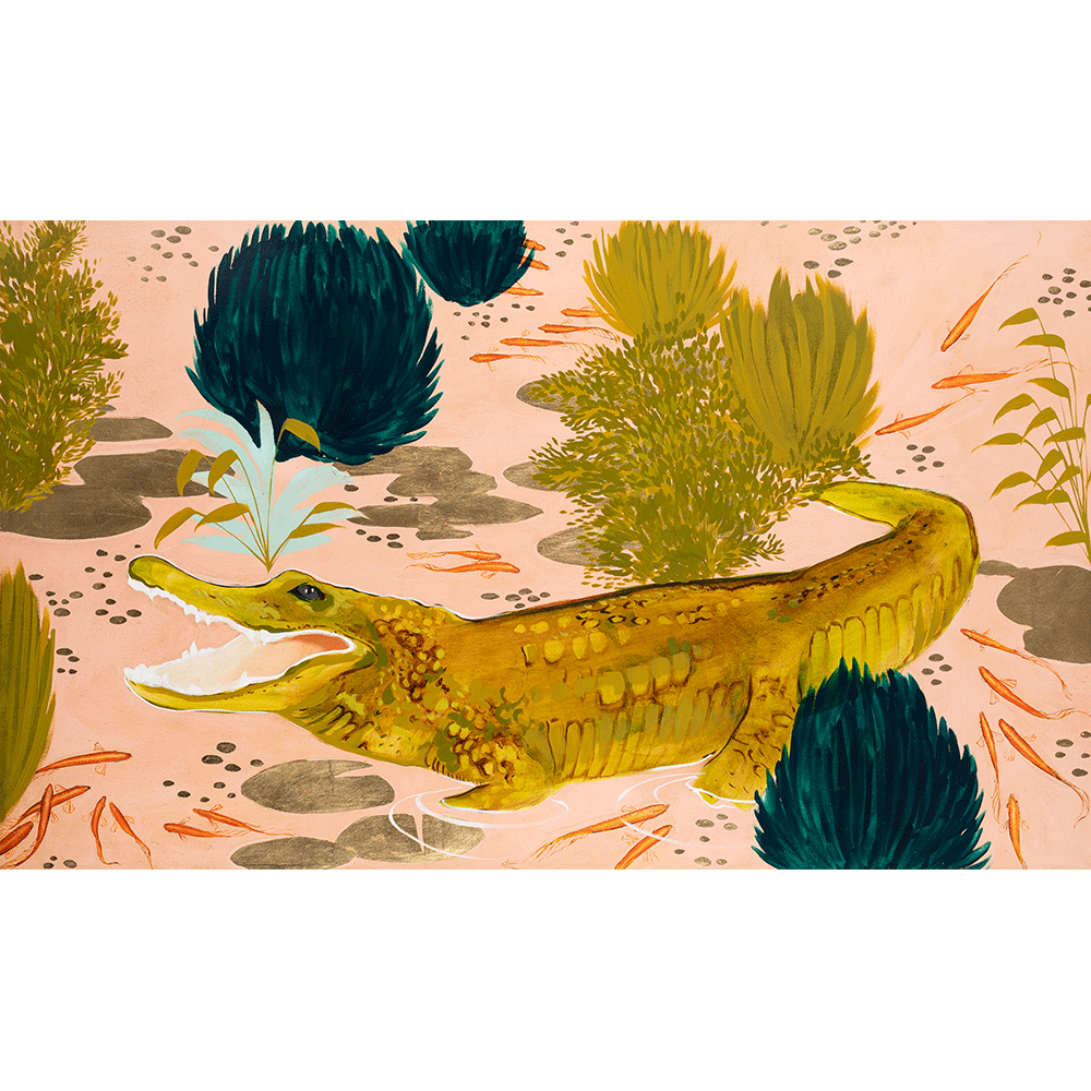 Carolina Gator 36 x 60