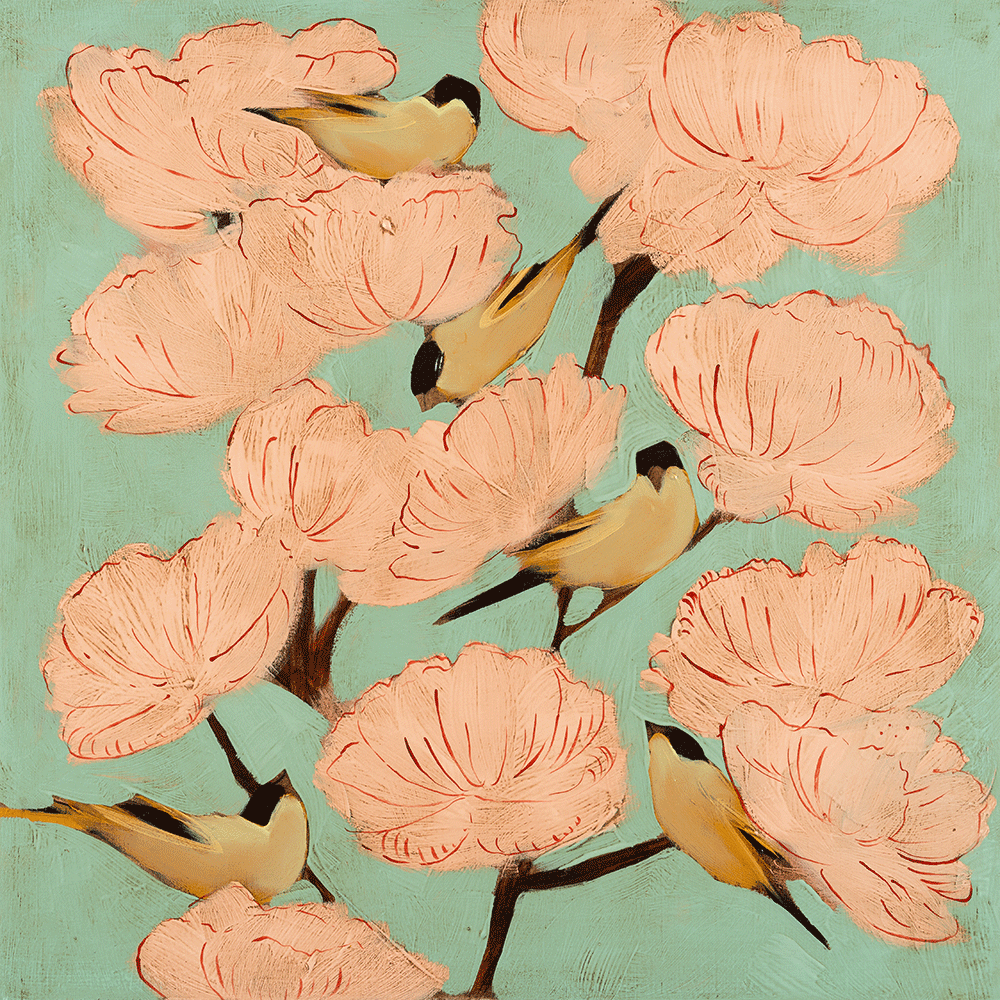 Blossoms & Finches 24 x 24