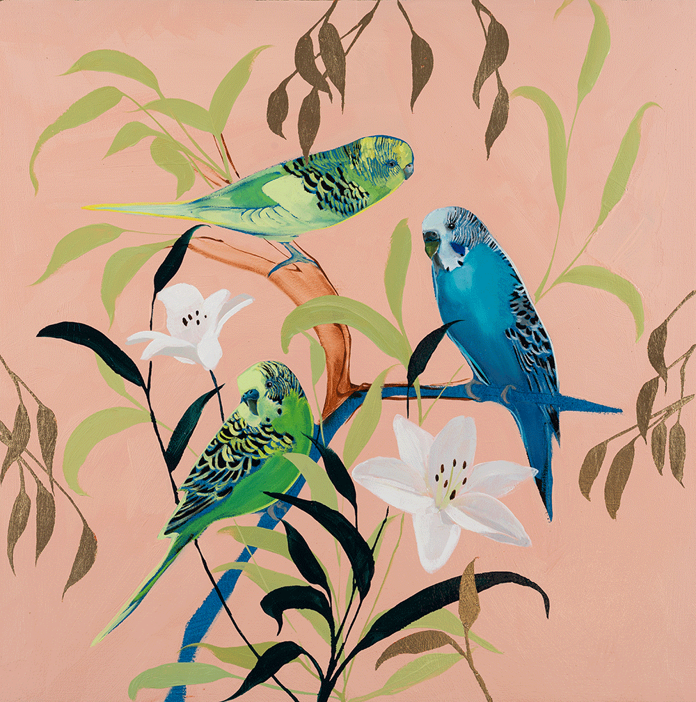 Parakeets on Pink 24 x 24