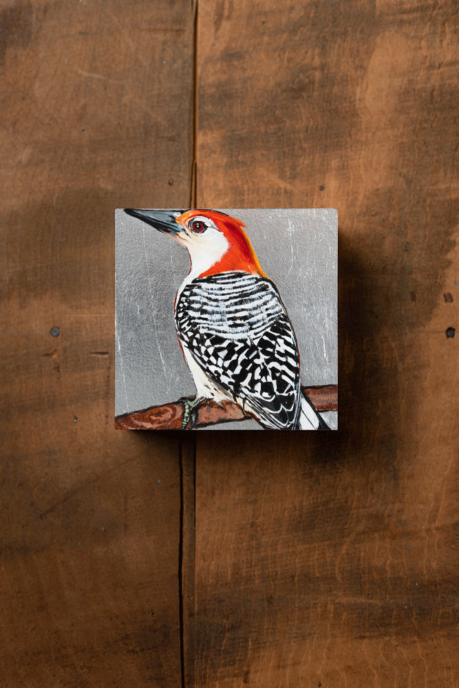 Woodpecker
