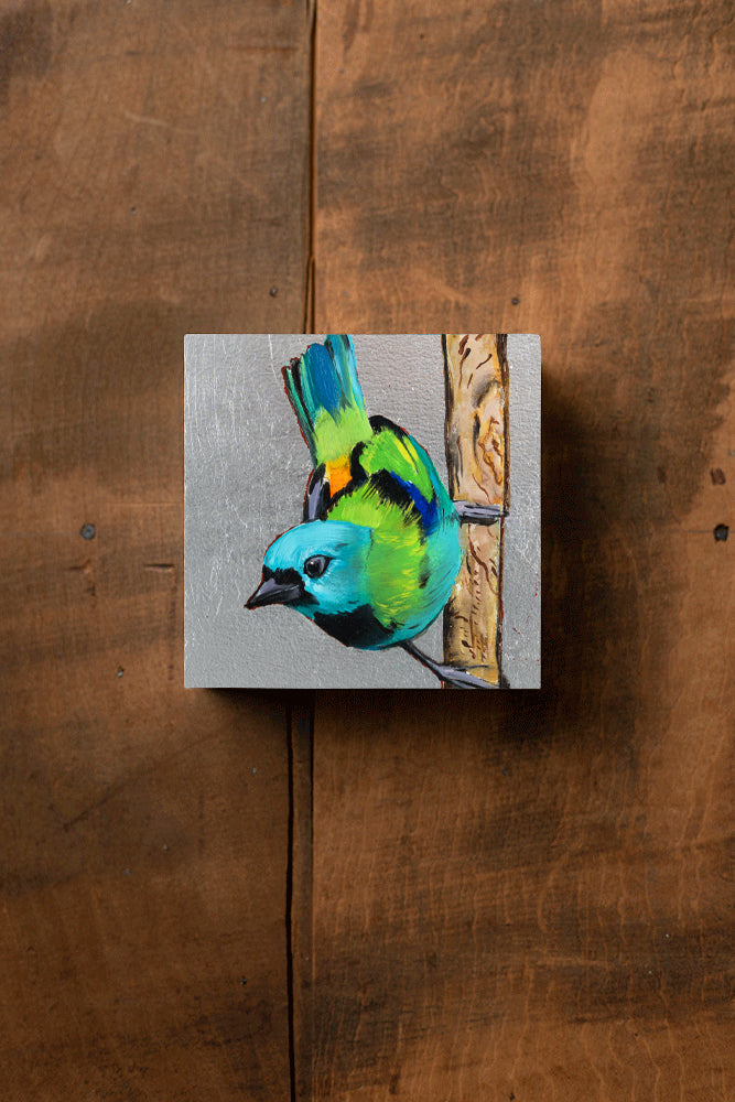 Green-headed Tanager
