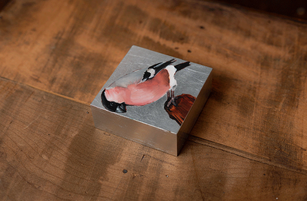 Pink Finch