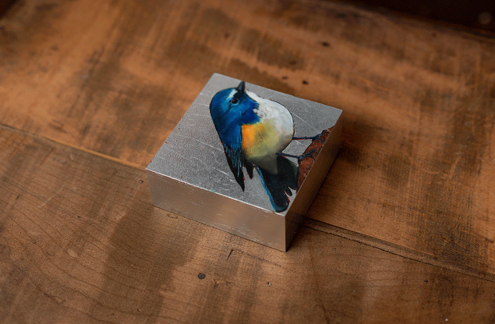Eastern Blue Bird