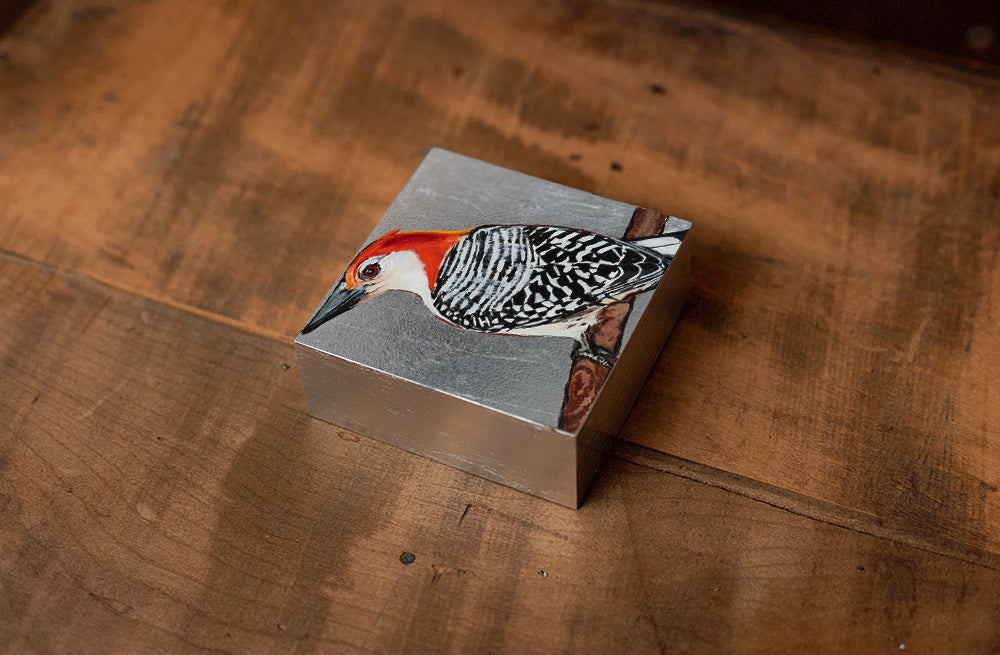 Woodpecker