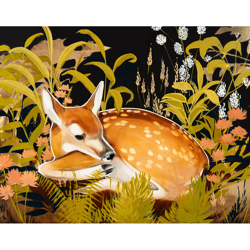 Midnight Fawn
