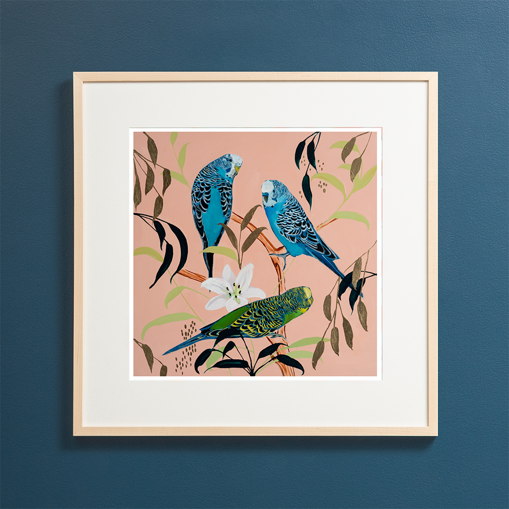 Parakeets on Pink