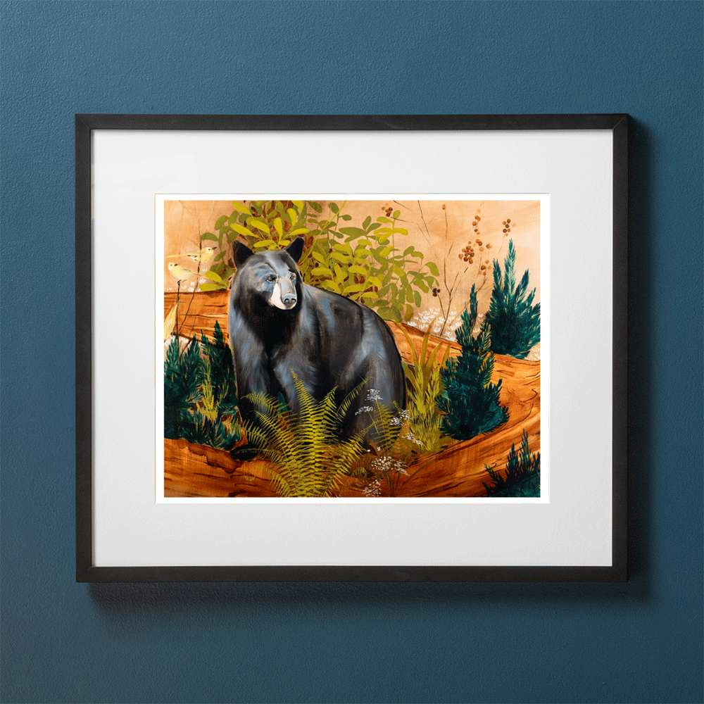 Paris Mountain Bear
