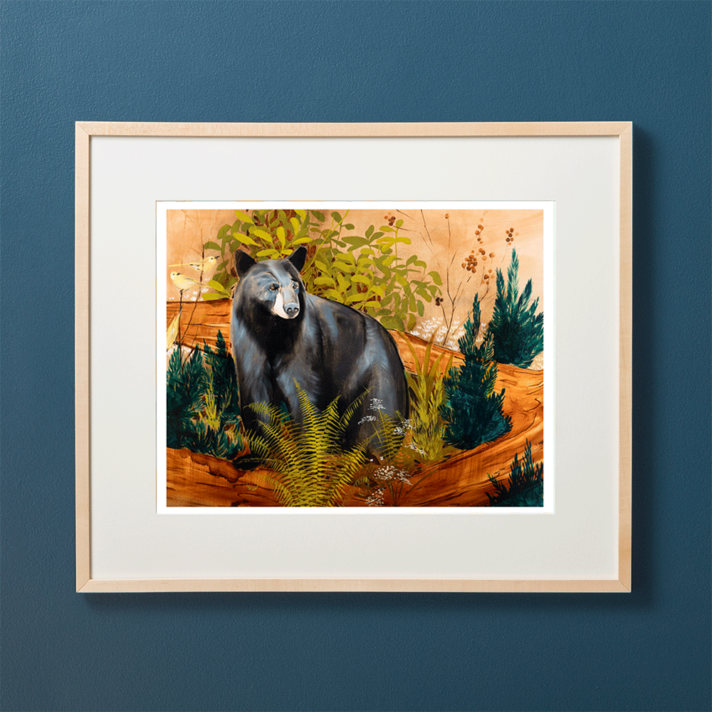 Paris Mountain Bear