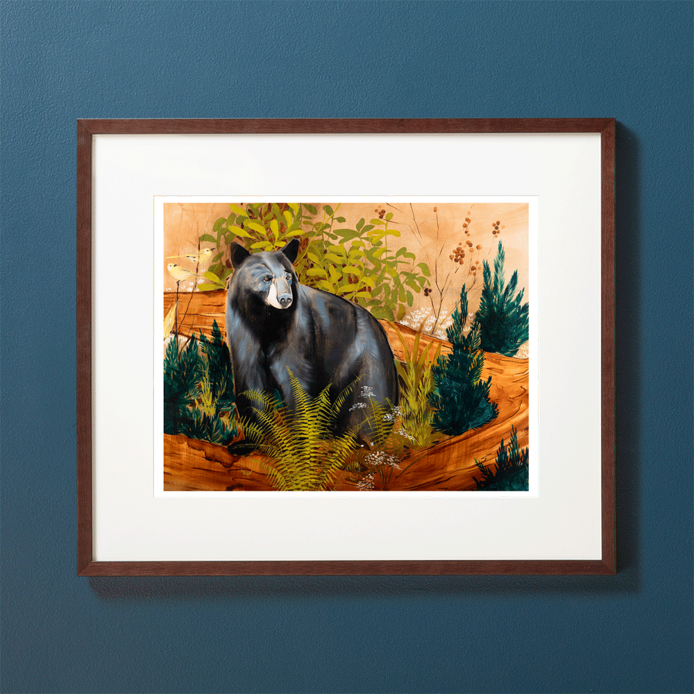 Paris Mountain Bear