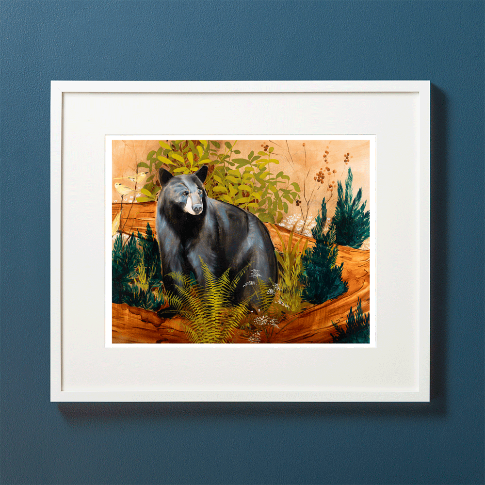 Paris Mountain Bear