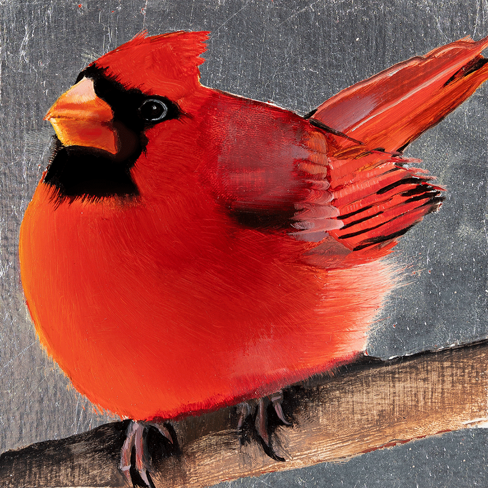 Christmas Cardinal 2024