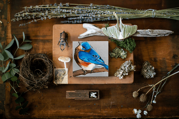 Fat Blue Bird – Joseph Bradley