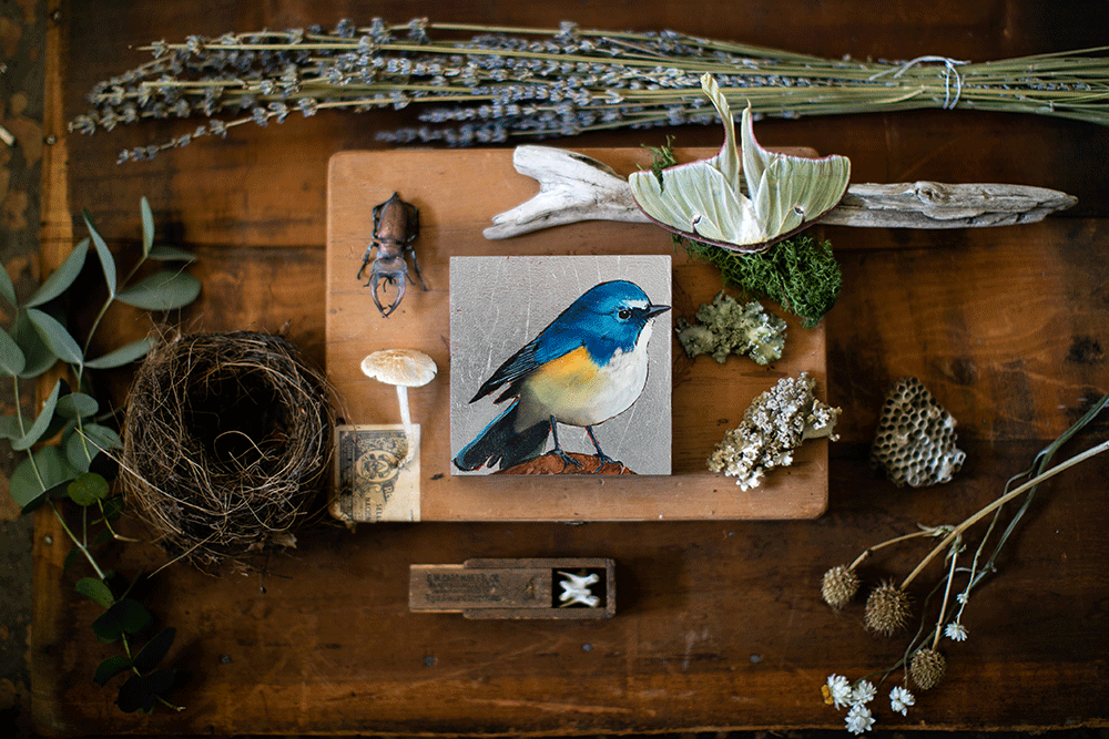 田舎の社畜　レア 完動 BlueMicrophones BlueBird Fat Blue Bird – Joseph Bradley