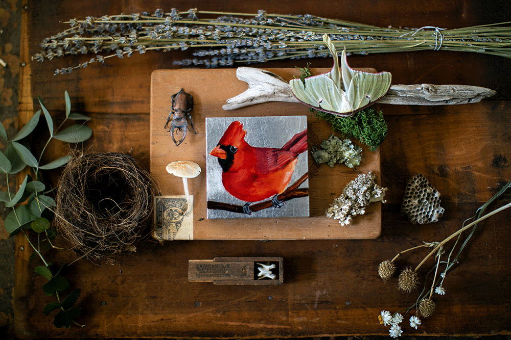 Cardinal