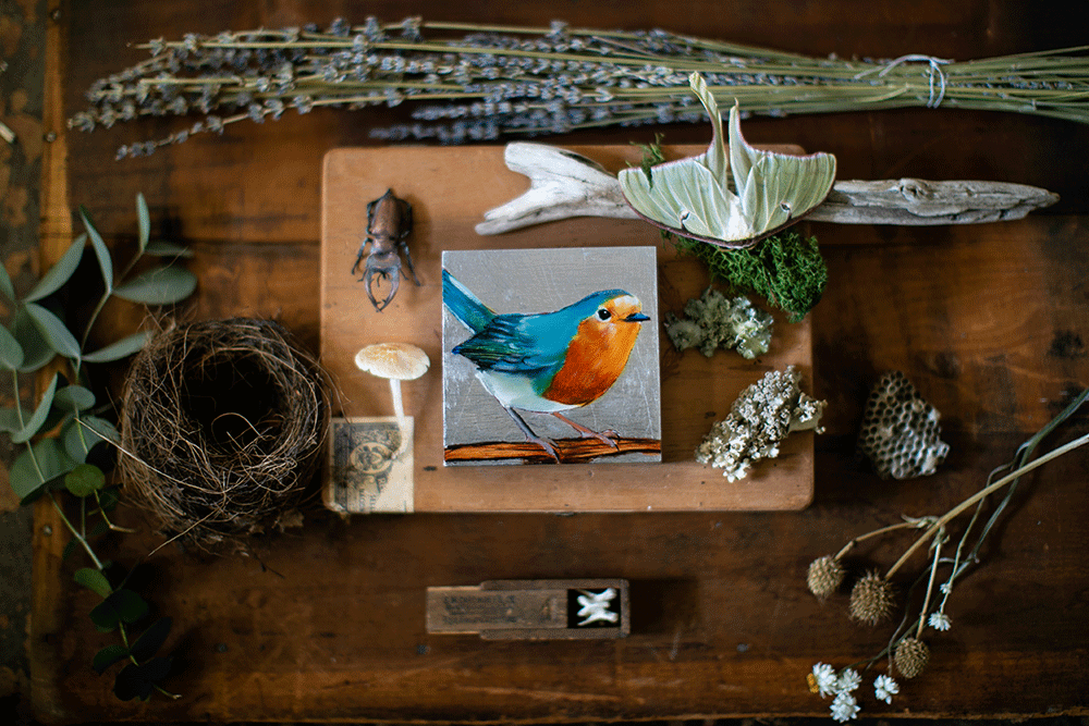 European Robin