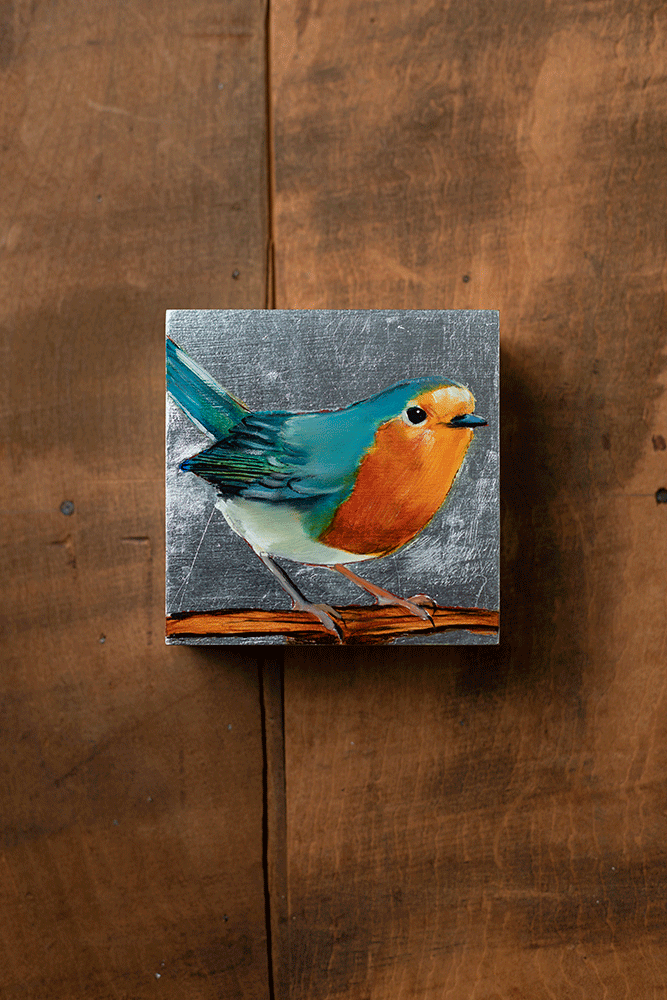 European Robin