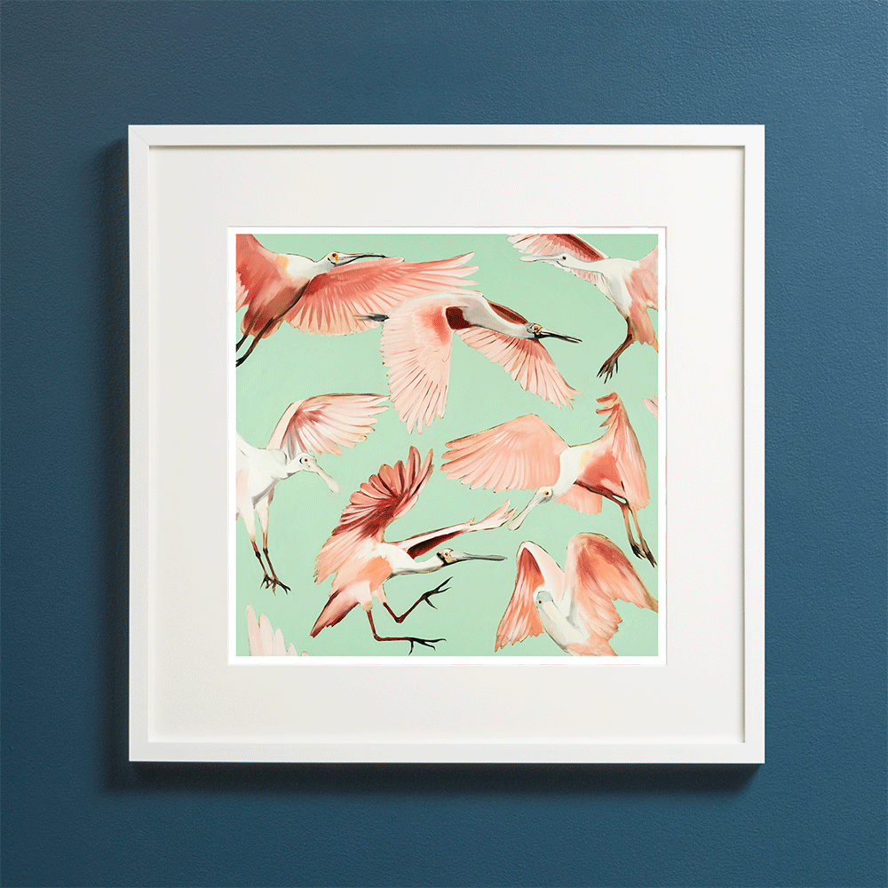 Roseate Spoonbills