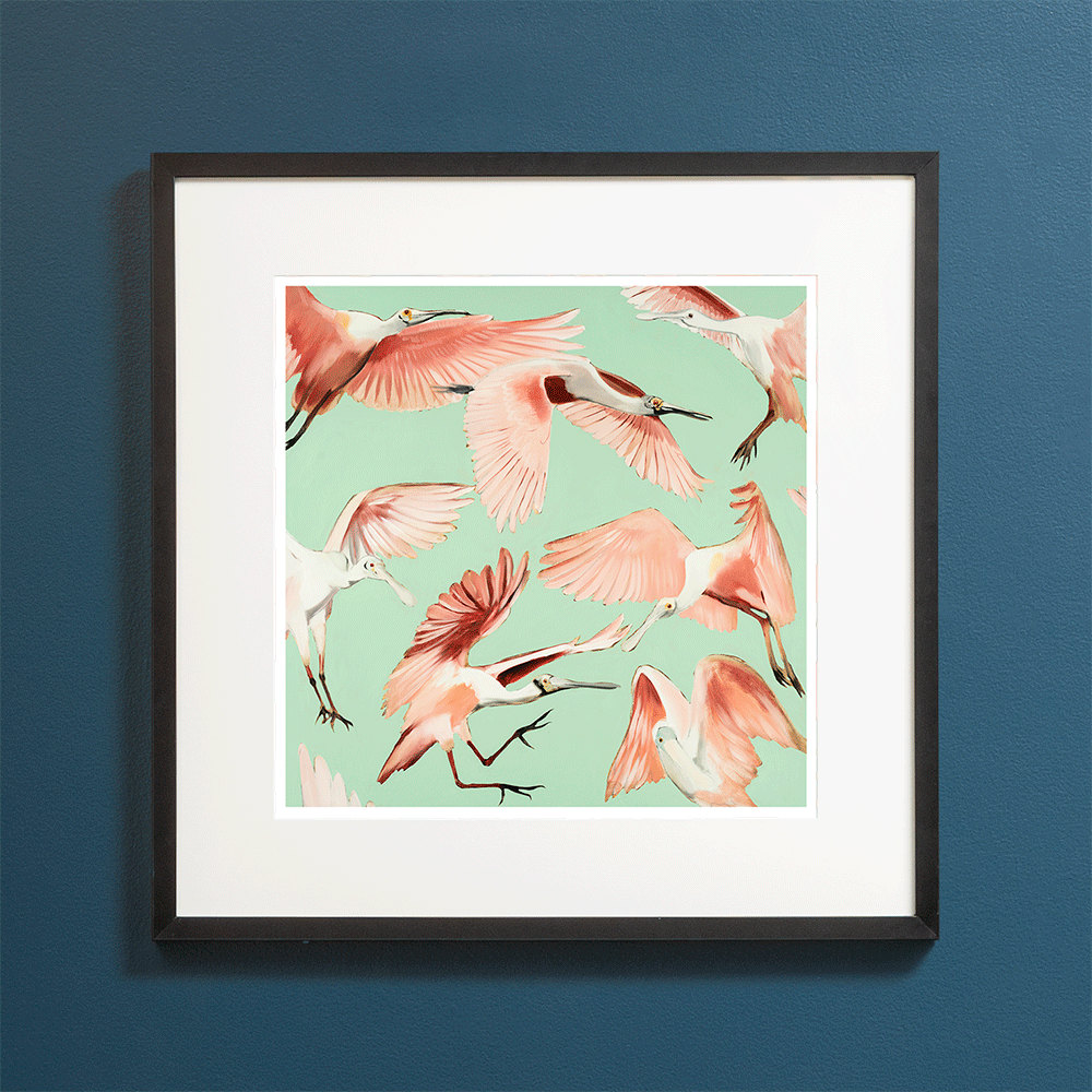 Roseate Spoonbills