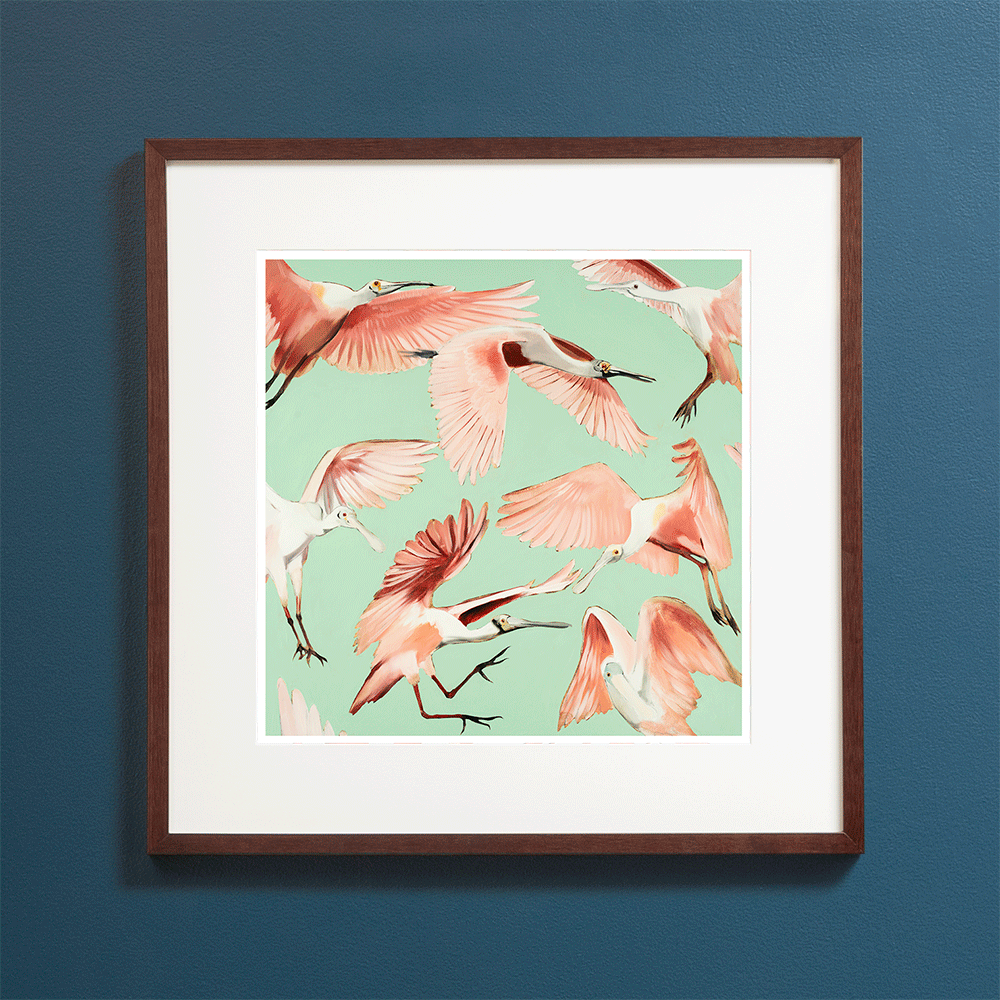 Roseate Spoonbills