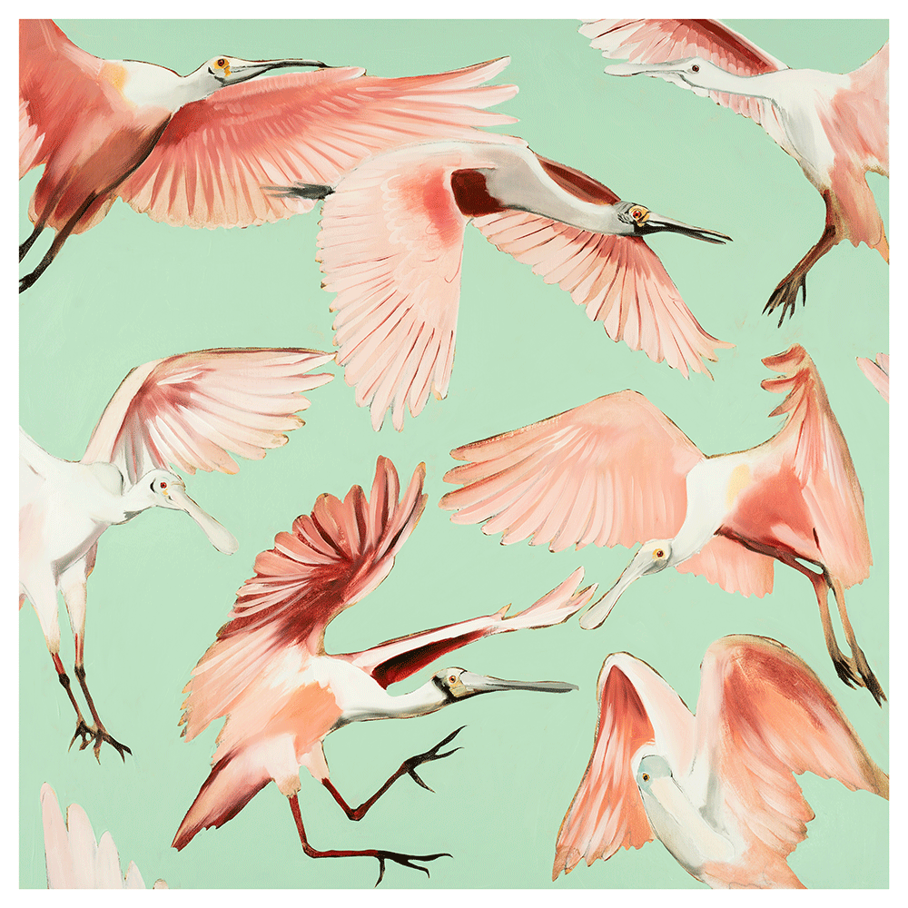 Roseate Spoonbills