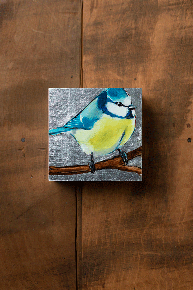 Blue-Tit