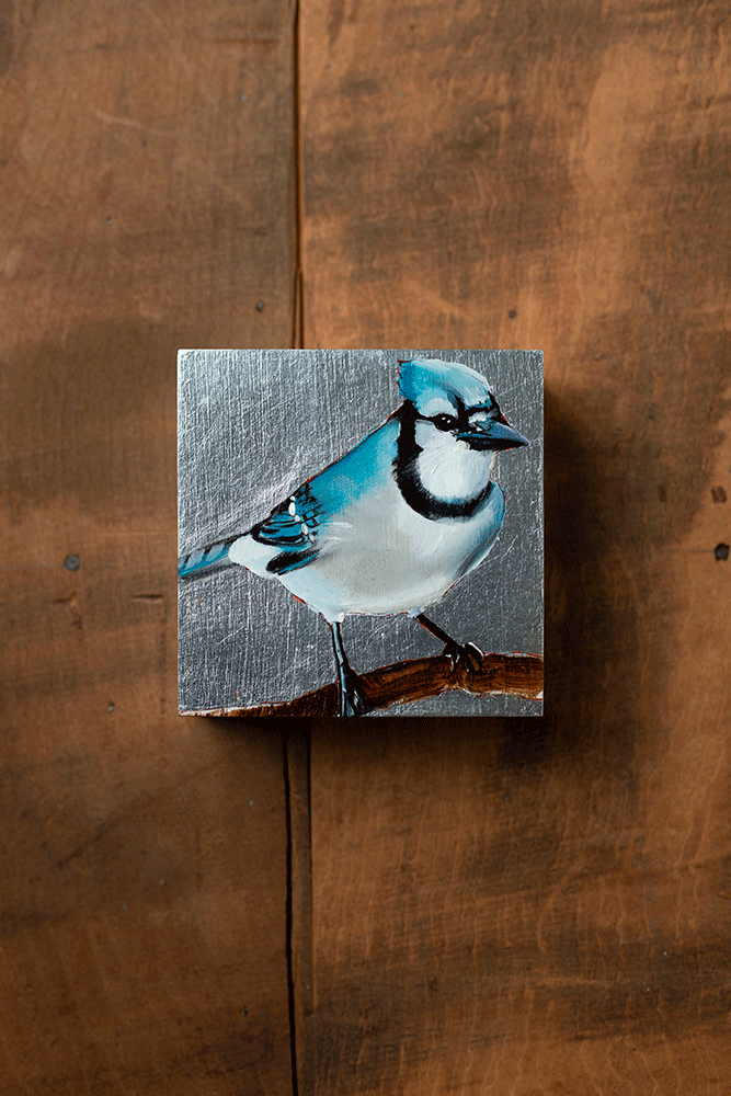 BlueJay