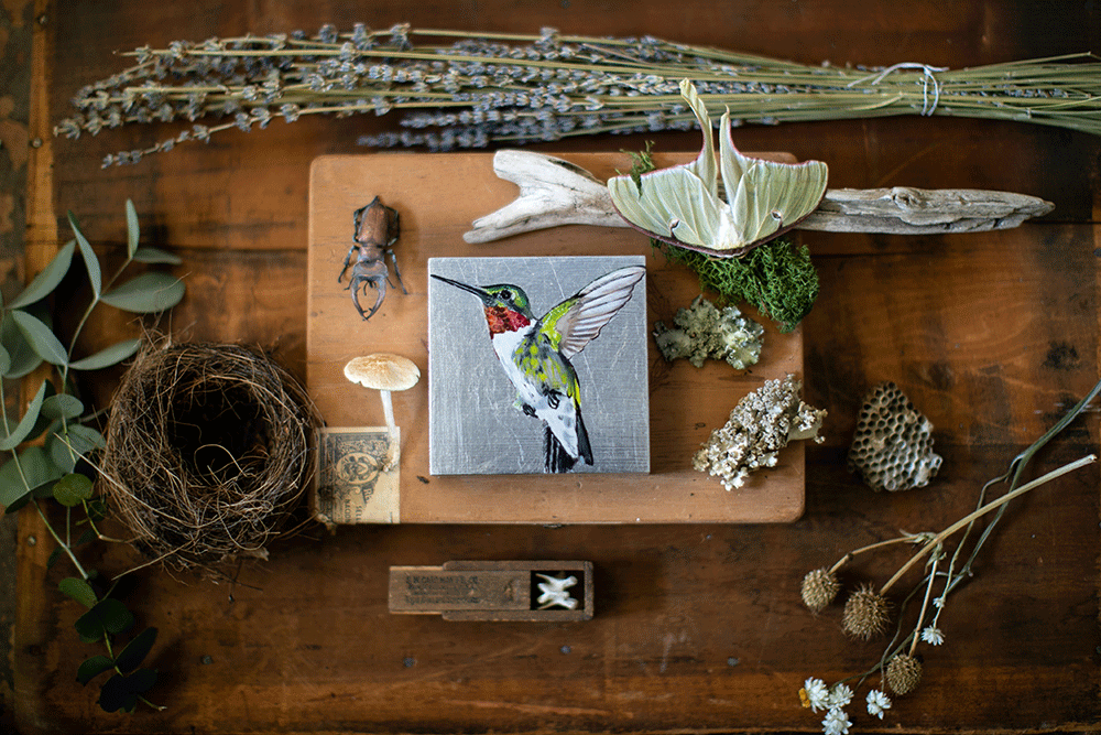 Hummingbird