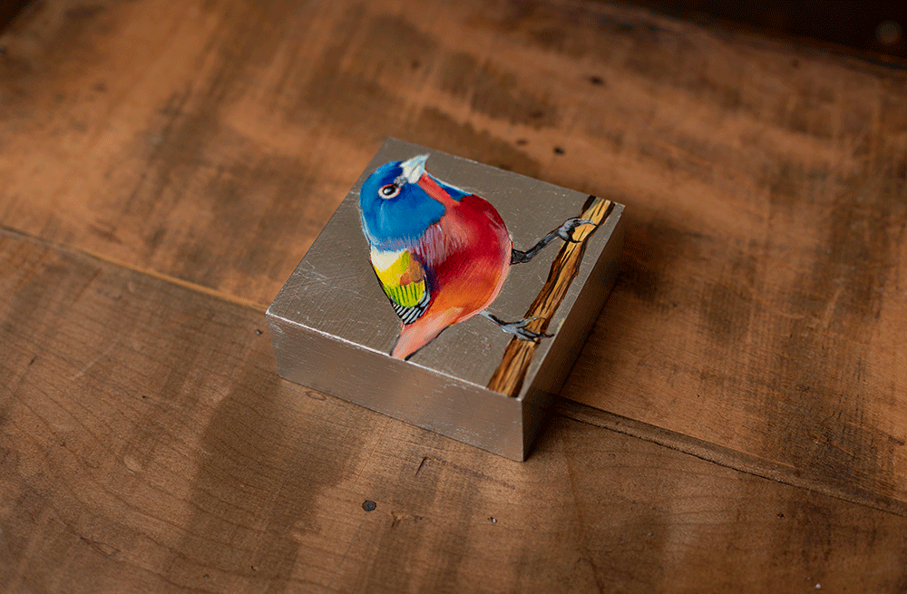 Painted Bunting