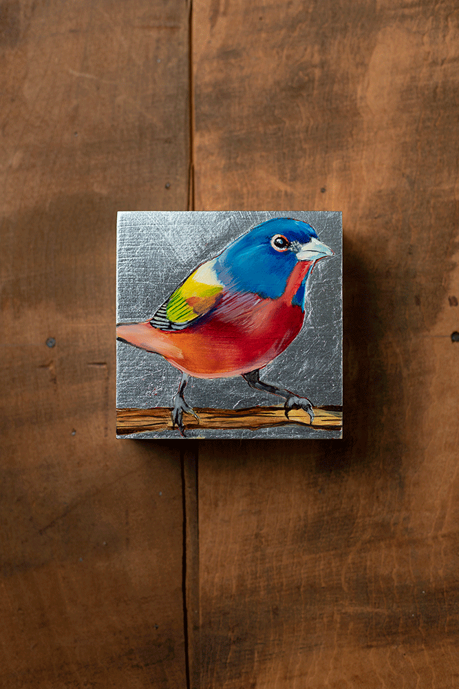 Painted Bunting